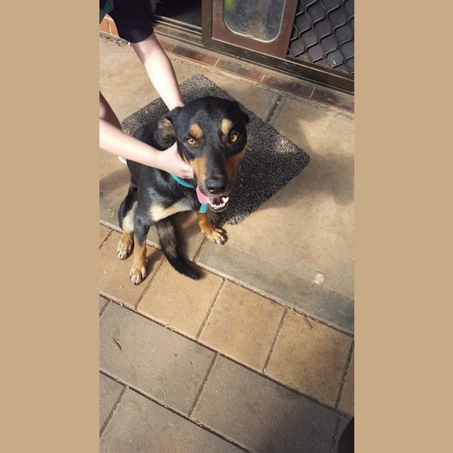 Photo of Tonic