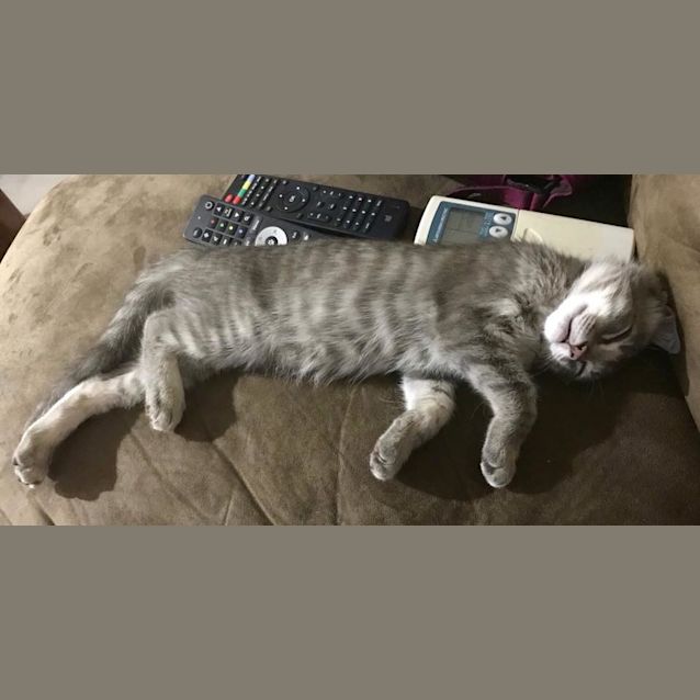 Photo of Hopper 