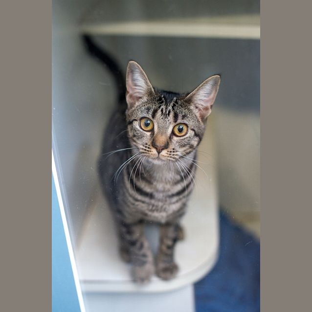 Photo of Porscha