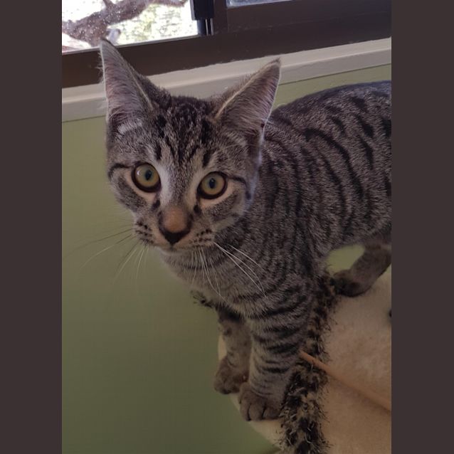 Photo of Buddy