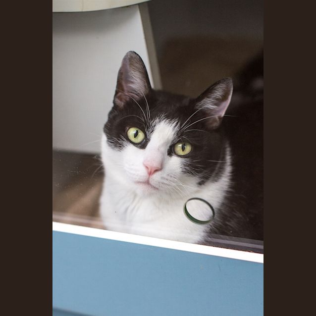 Photo of Billy