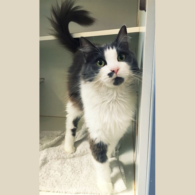 Photo of Jasmine