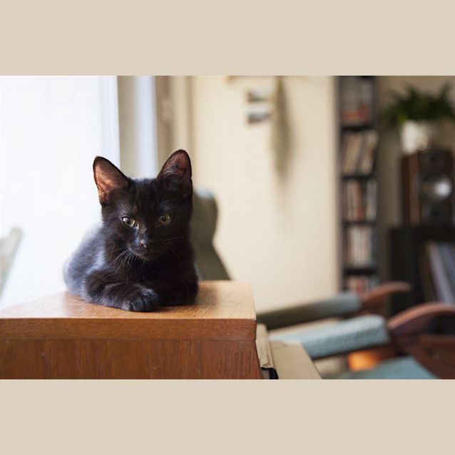 Photo of Uno (Now Una)
