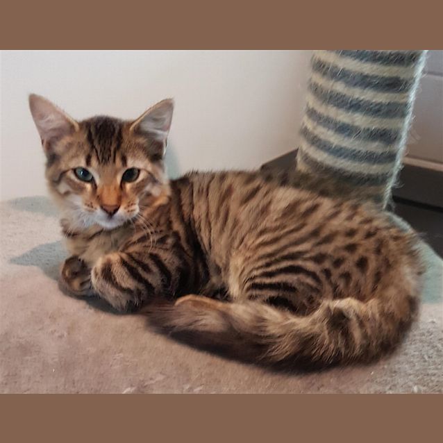 Photo of Mercury
