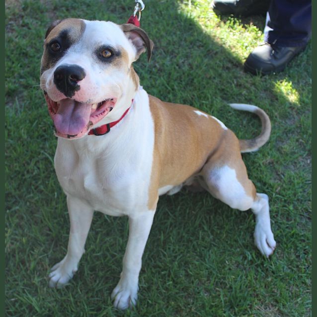 Photo of Zeus