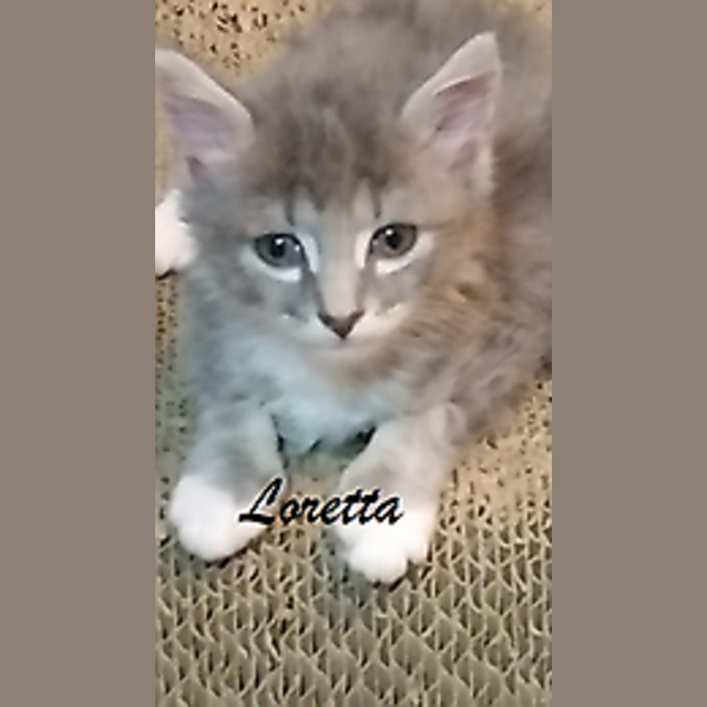 Photo of Loretta