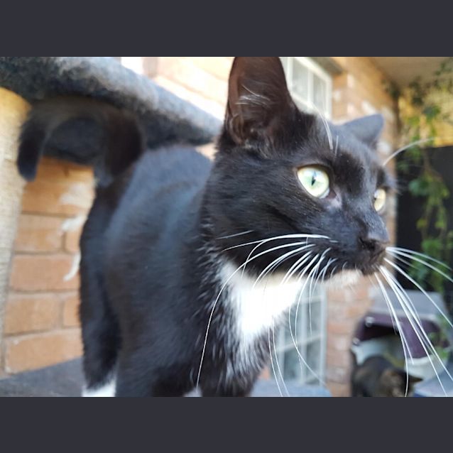 Photo of Maggie