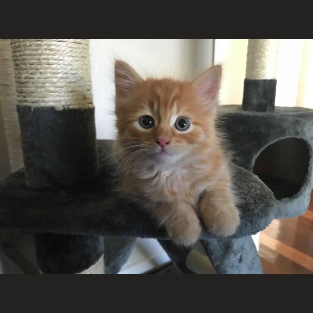 Photo of Elijah