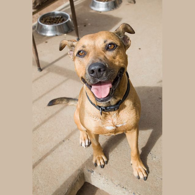 Photo of Narla