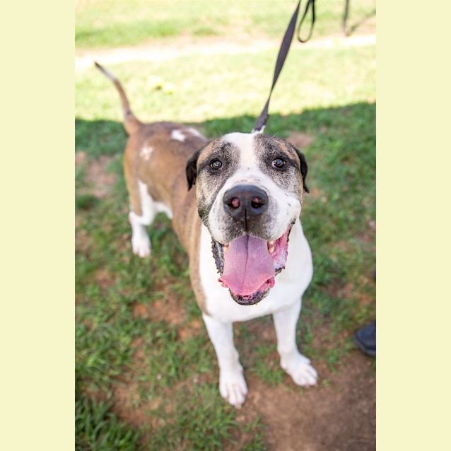 Photo of Tank