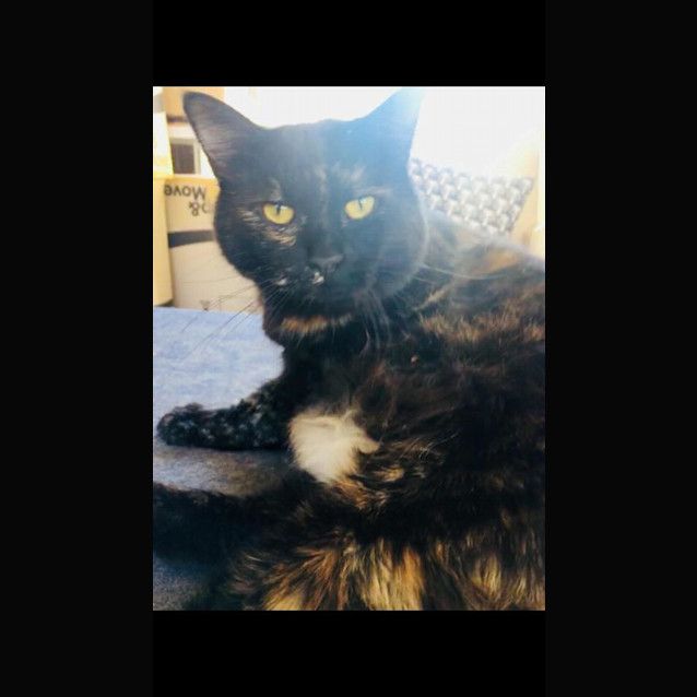 Photo of Morty And Ricky