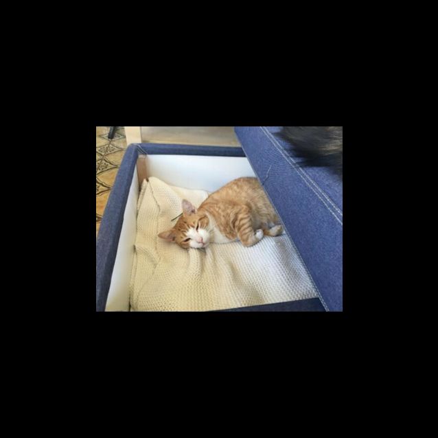 Photo of Ricky & Morty