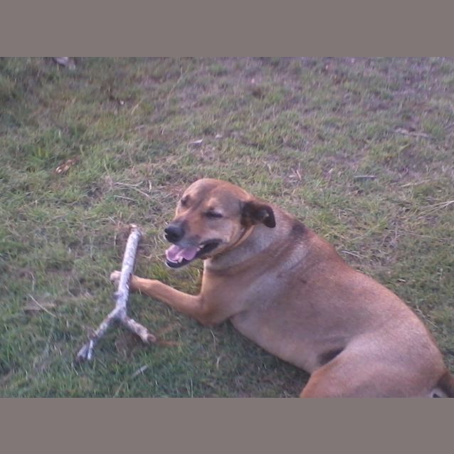 Photo of Major