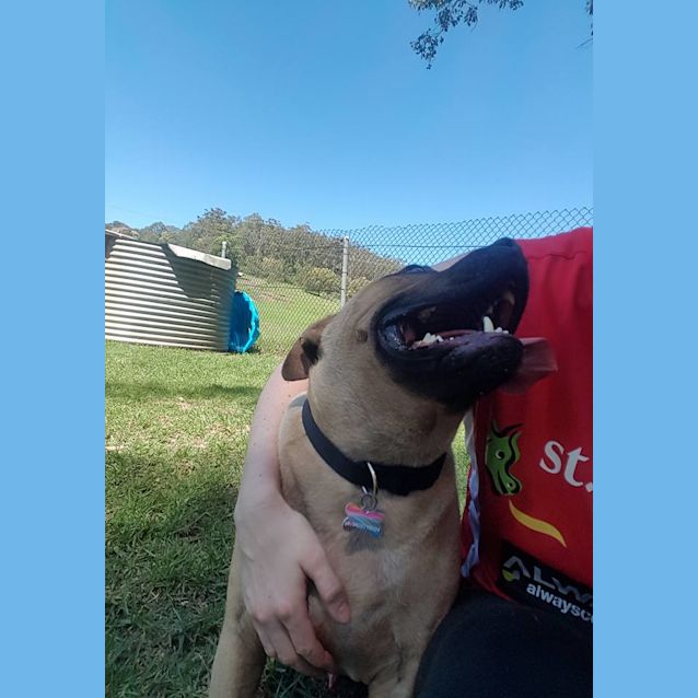 Photo of Phoenix Aka Wombat