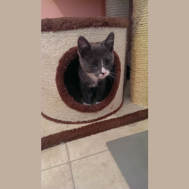 Photo of Storm
