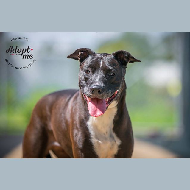 Photo of Kendra (Hcc 93)