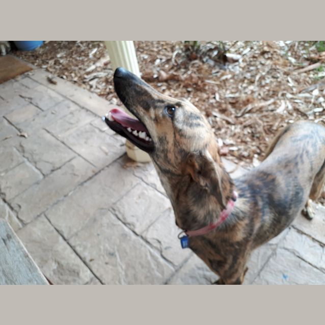 Photo of Hazel