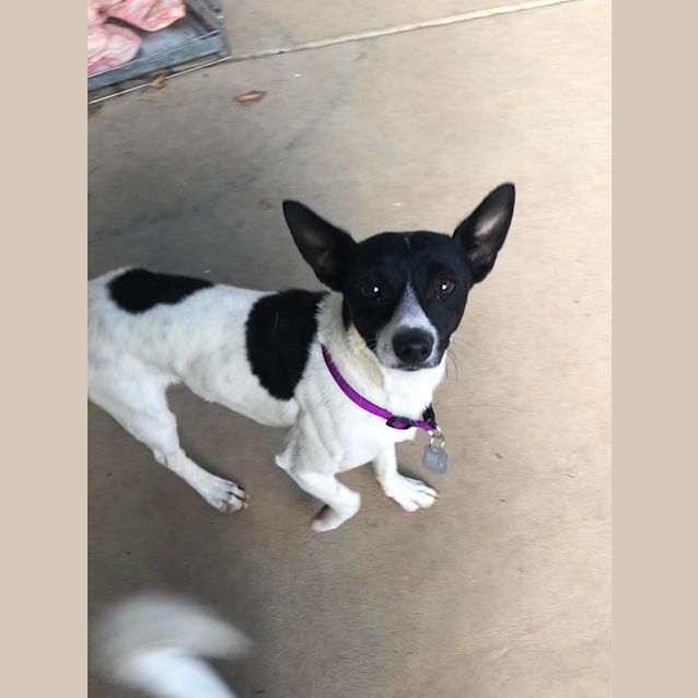 Photo of Arlo