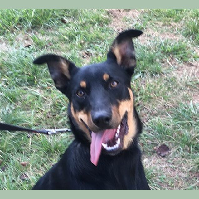 Photo of Buddy