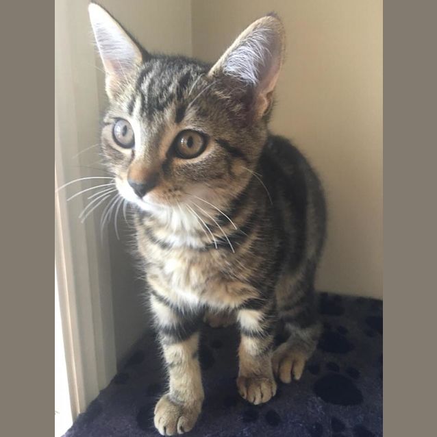 Photo of Tabitha