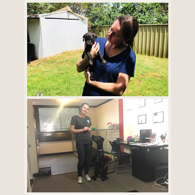 Photo of Ian   The Mini Dane