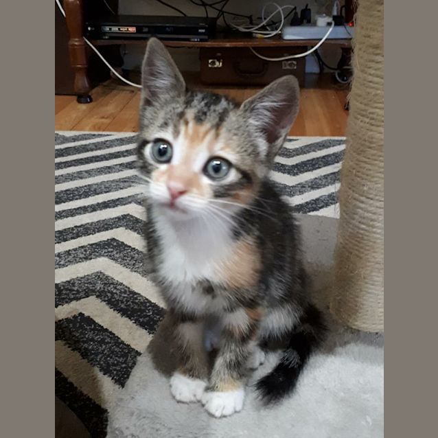Photo of Mimi