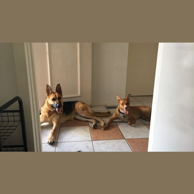 Photo of Mia
