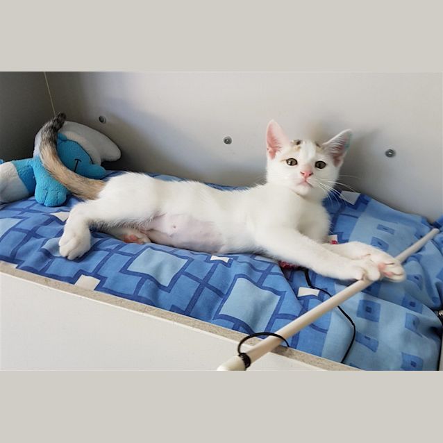 Photo of Tinka