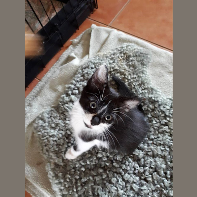 Photo of Gemmima