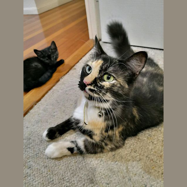 Photo of Tilly