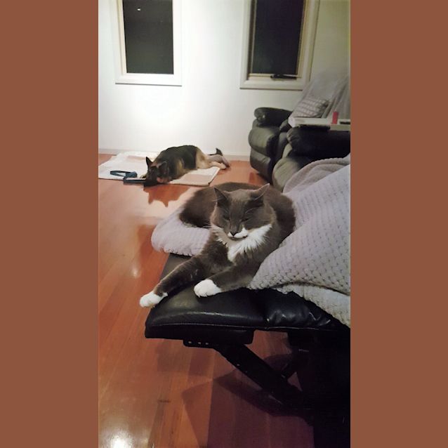 Photo of Phoebe   Meet And Greet Organised