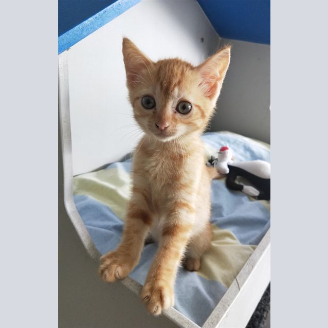 Photo of Charlie