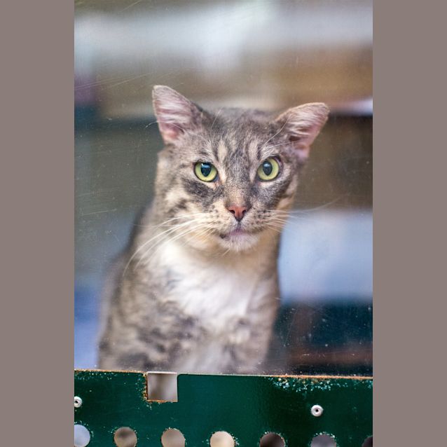 Photo of Wilbur