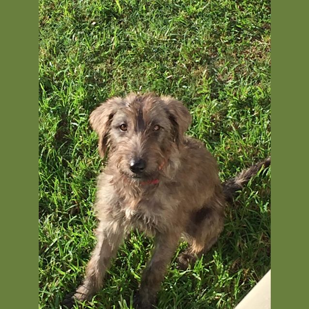 Photo of Bonnie