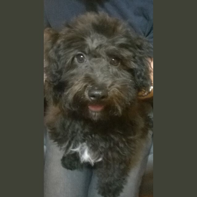 Photo of Neco