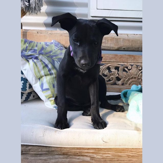 Photo of Bonnie