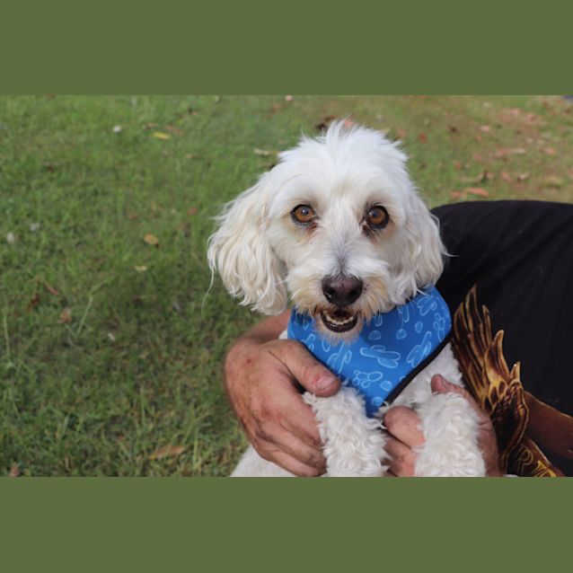 Photo of Max