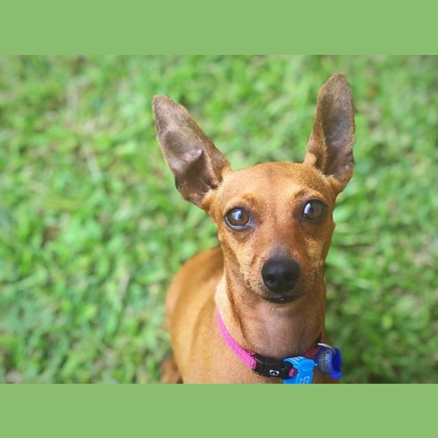 Photo of Molly