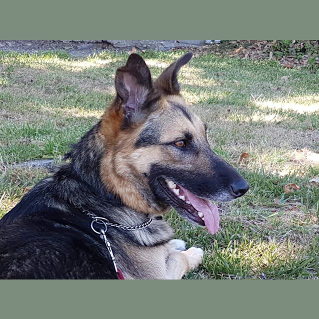 Photo of Bindi