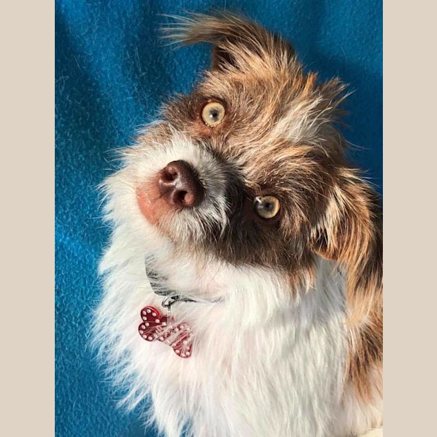 Photo of Lucy