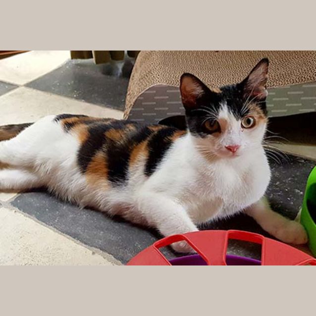 Photo of Winifred Is Checking Out Her New Home!