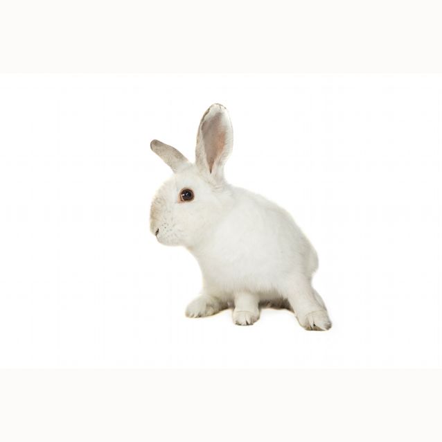 Photo of Leroid
