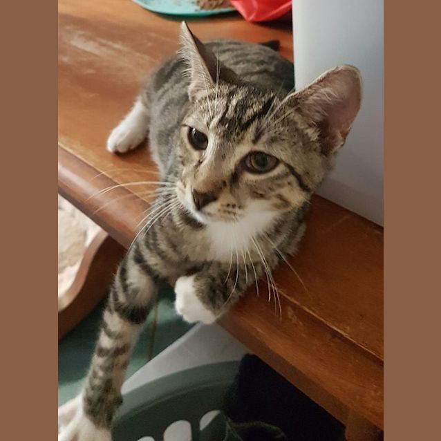 Photo of Dennis
