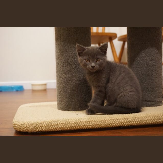 Photo of Christopher Columbus