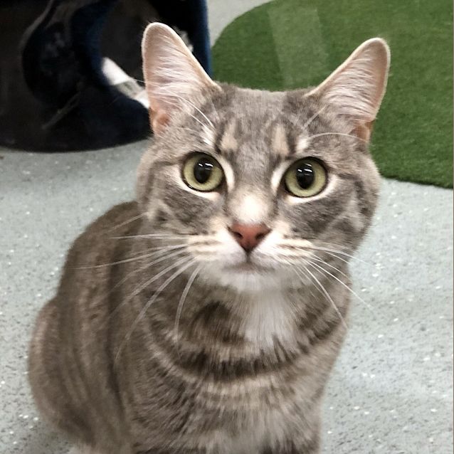 Photo of Polly