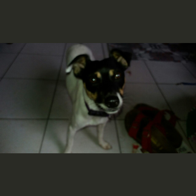 Photo of Pheobe Jo