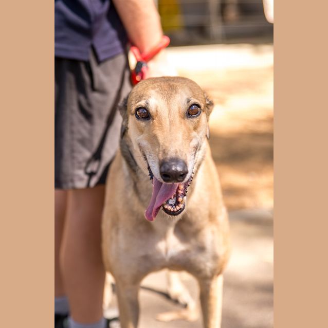Photo of Jenny