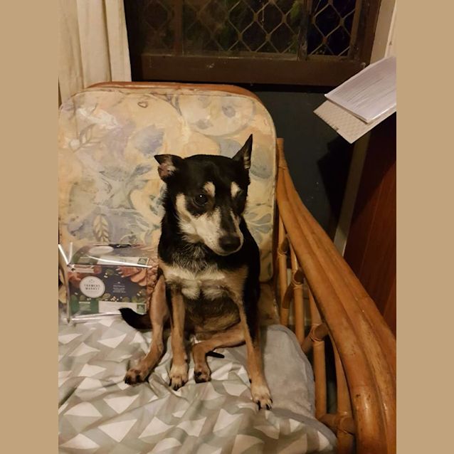 Photo of Pippa