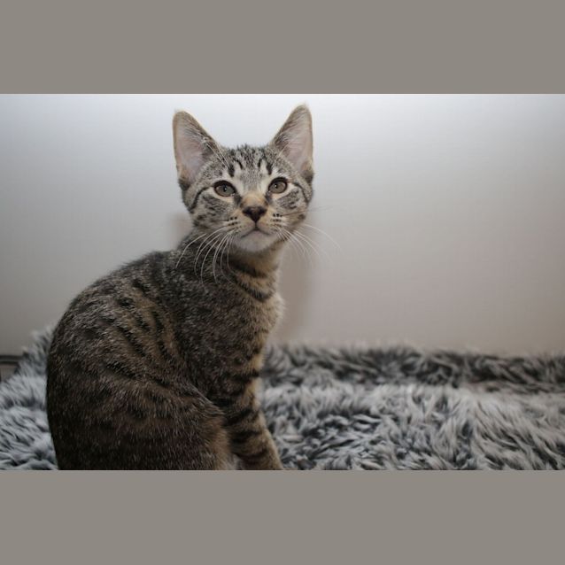 Photo of Louis
