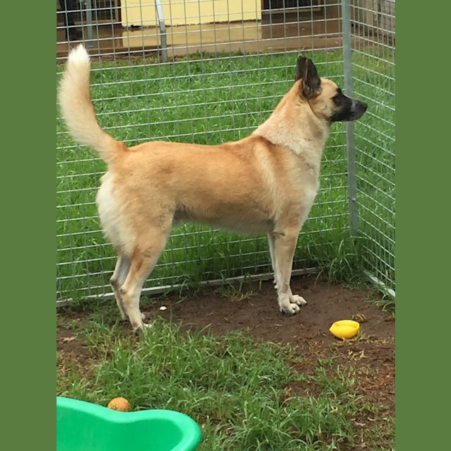 Photo of Duke